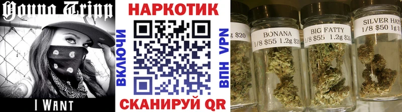 Названия наркотиков Певек Бошки Шишки  Амфетамин  ГАШ  Псилоцибиновые грибы  МДМА  A-PVP 
