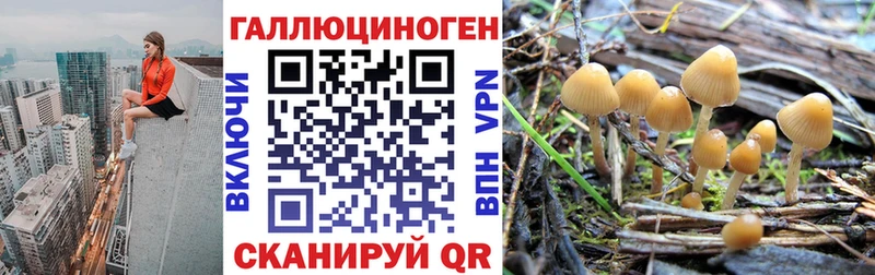 Галлюциногенные грибы прущие грибы  даркнет Telegram  Певек  наркошоп 